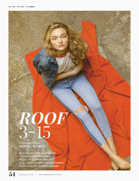 Roof 3-15