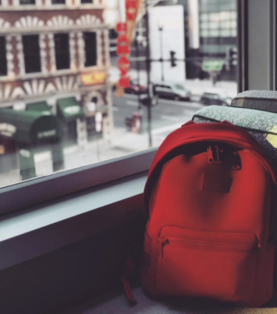 Dagne Dover Backpack